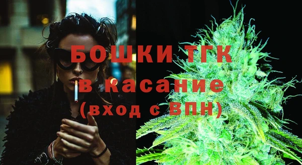 гидра Бородино